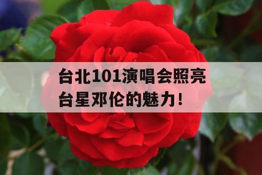 台北101演唱会照亮台星邓伦的魅力！