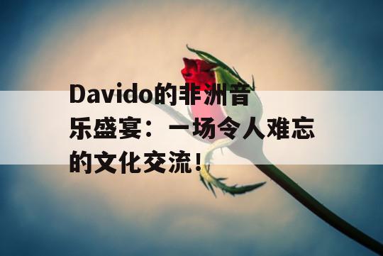 Davido的非洲音乐盛宴：一场令人难忘的文化交流！